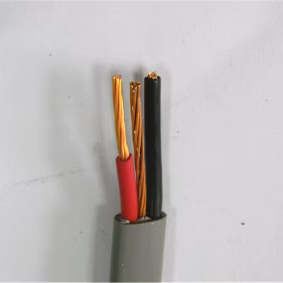 Qipang PVC ケーブル ワイヤー テイク